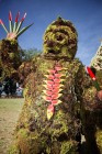 Un pais fascinante, Papua Nueva Guinea