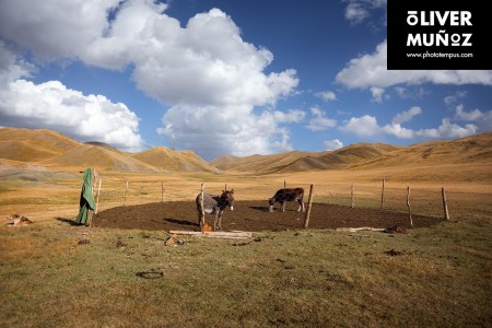 Kyrgyzstan