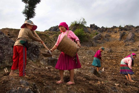 Vietnam y sus renovadas políticas Comunistas de Ho Chi Minh
