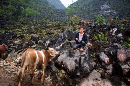Vietnam y sus renovadas políticas Comunistas de Ho Chi Minh