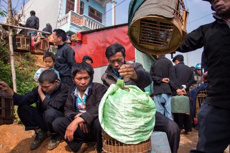 Vietnam y sus renovadas políticas Comunistas de Ho Chi Minh
