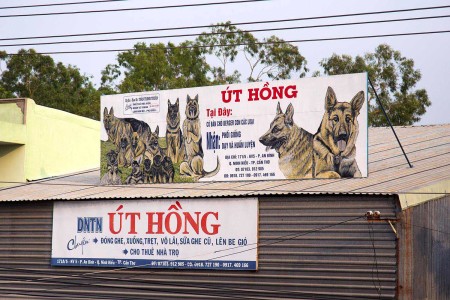 Vietnam y sus renovadas políticas Comunistas de Ho Chi Minh